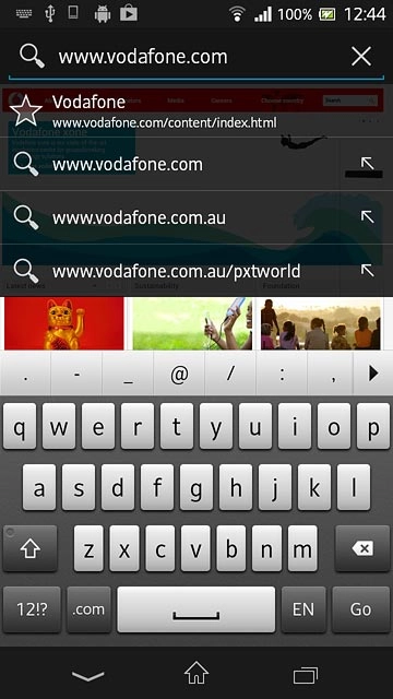 Key in the address of the required web page and press Go.