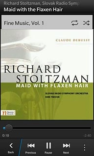 To go to the previous audio file:Press Previous twice.