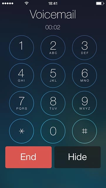 Press End to end the call.