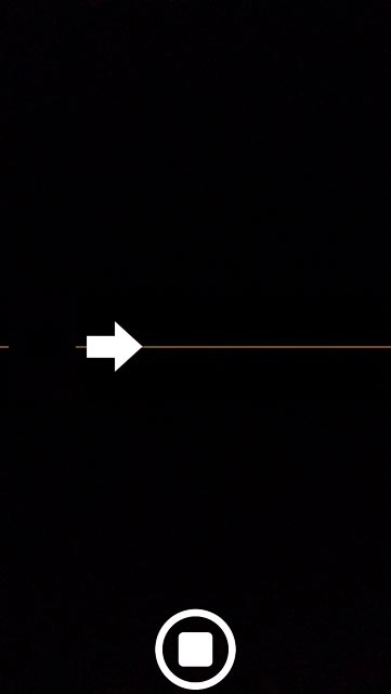 Press the stop icon.