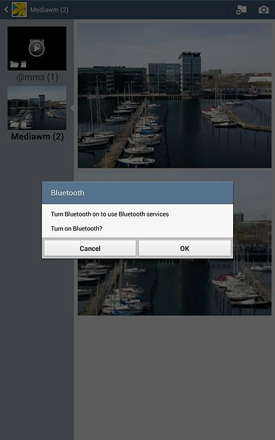 If Bluetooth is turned off:Press OK to turn on Bluetooth.