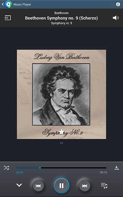 Press the shuffle icon to turn the function on or off.