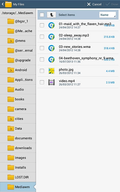 Press the field next to the required file to select the file.