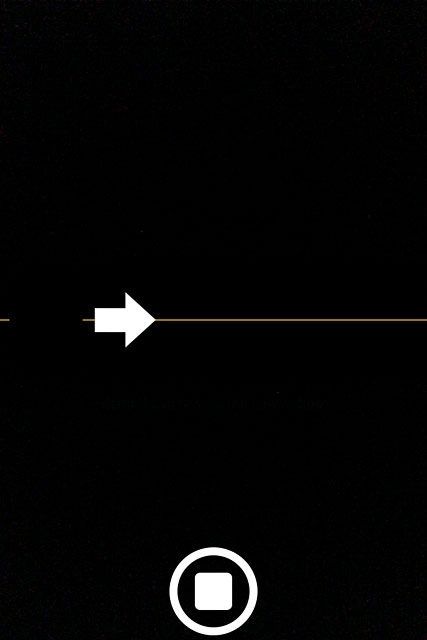 Press the stop icon.