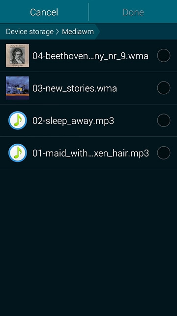 Press the field next to the required audio file.