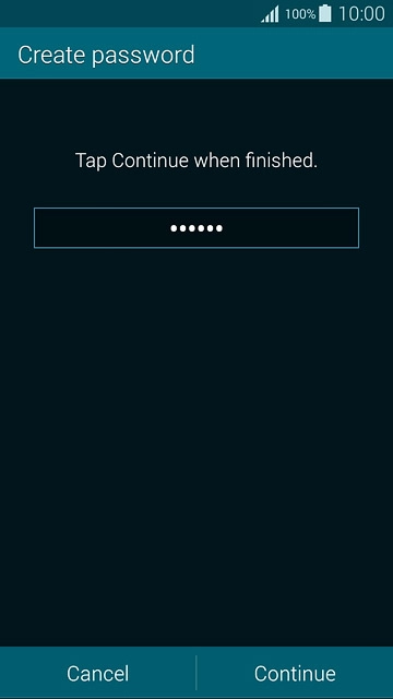Key in a password and press Continue.