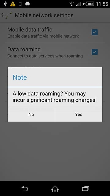 If you turn on data roaming:Press Yes to confirm.