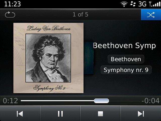 Press the shuffle icon to turn the function on or off.