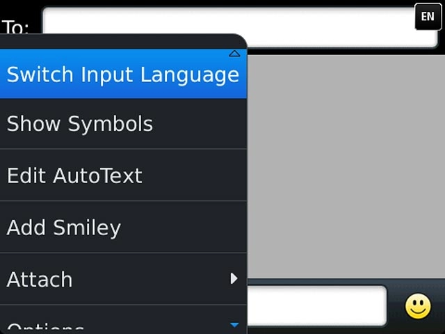 Press Switch Input Language.