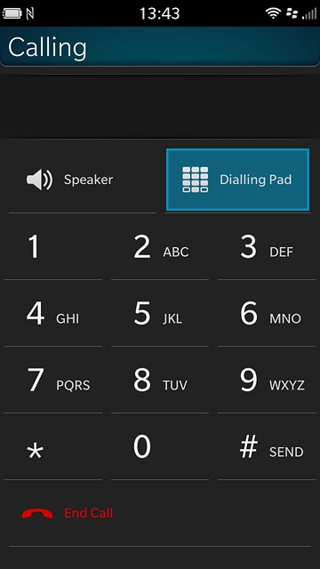 Press End Call to end the call.