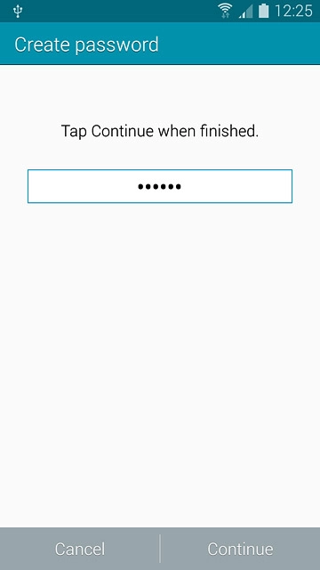 Key in a password and press Continue.