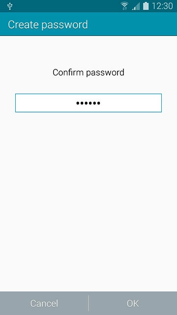 Key in the password again and press OK.