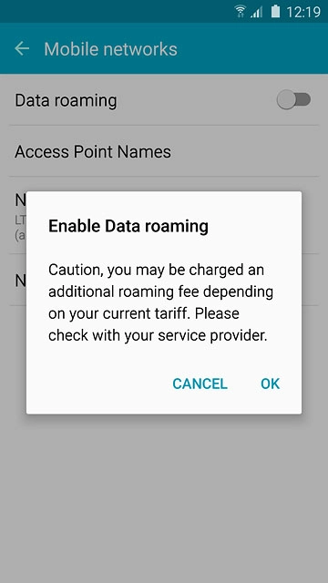 If you turn on data roaming:Press OK to confirm.