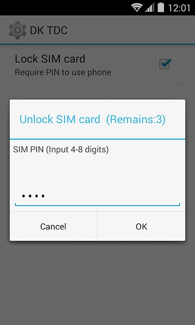 Key in your PIN and press OK.