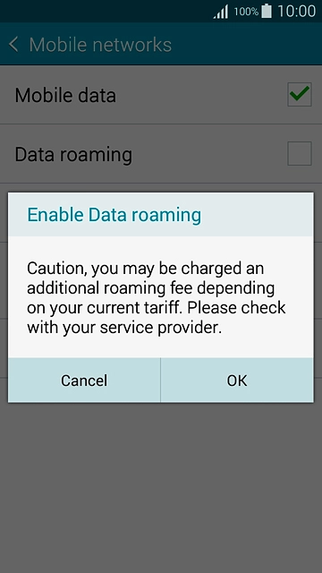 If you turn on data roaming:Press OK to confirm.