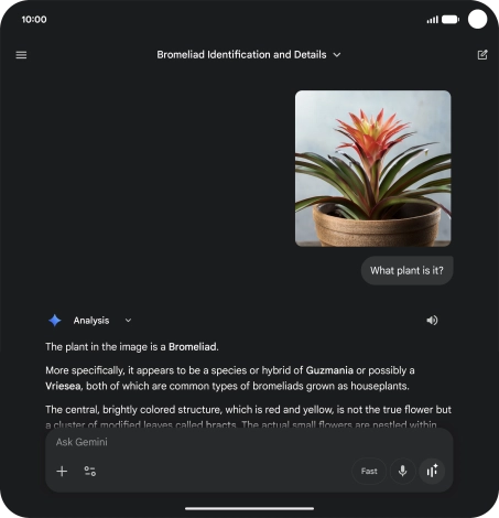 Follow the instructions on the screen to type or speak the required question. You can also attach pictures or documents and ask questions to them.