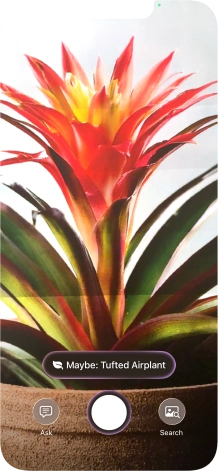 For information about animals and plants, press the information field.