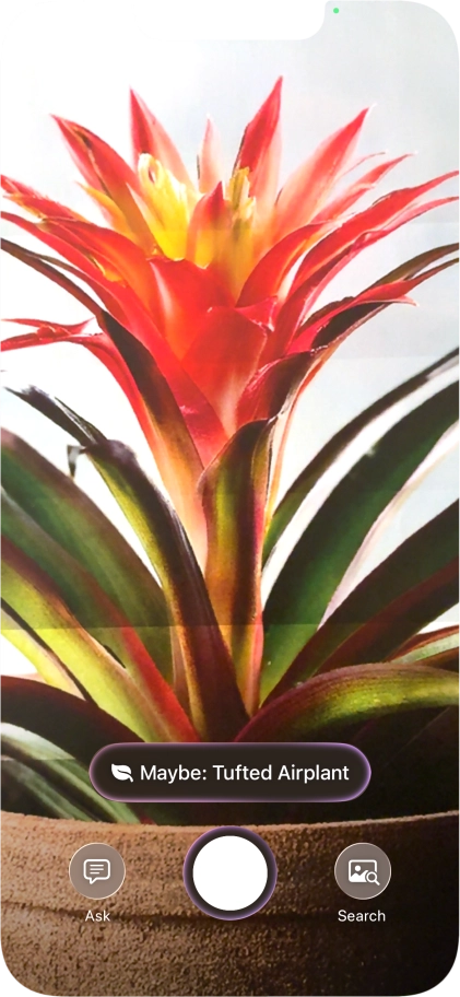 For information about animals and plants, press the information field.