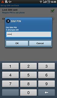 Key in your current PIN and press OK.