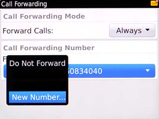 Scroll to New Number... and press the Navigation key.