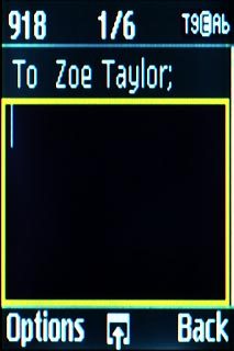 Highlight the text input field and write the required text.