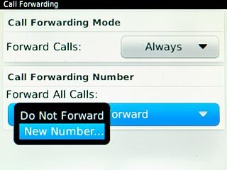 Scroll to New Number... and press the Navigation key.