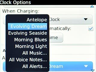 Highlight the different alarm tones to listen to them.