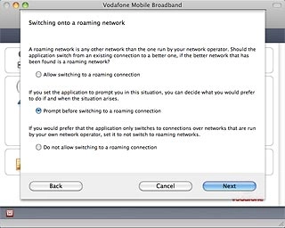 Prompt before switching to a roaming connection