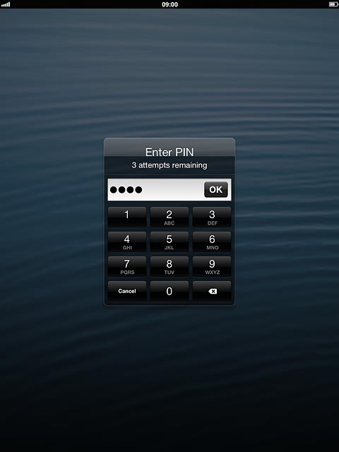 Key in your PIN and press OK.If your device rejects the SIM:Contact your distributor or service provider where you bought your device.