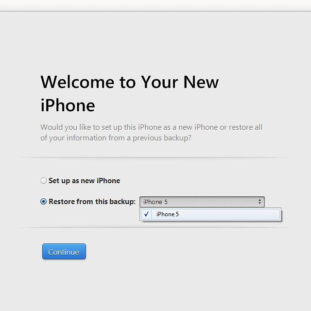 Click the required backup.