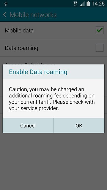 If you turn on data roaming:Press OK to confirm.