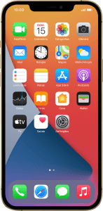 Apple iPhone 12 Pro Max