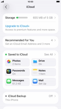 Press iCloud Backup.