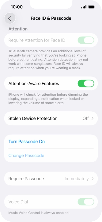 Press Turn Passcode On and key in a phone lock code of your own choice twice.