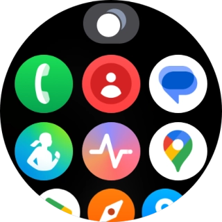 Press the Samsung Health icon.