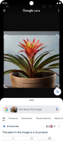Follow the instructions on the screen to use the search results.