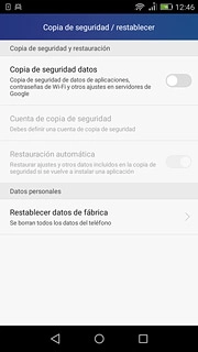 Pulsa Restablecer datos de fábrica.