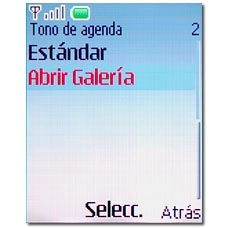 Si selecciona Abrir Galería: