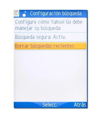 Borrar búsquedas recientes