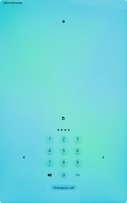 Key in a new four-digit PIN and press OK.