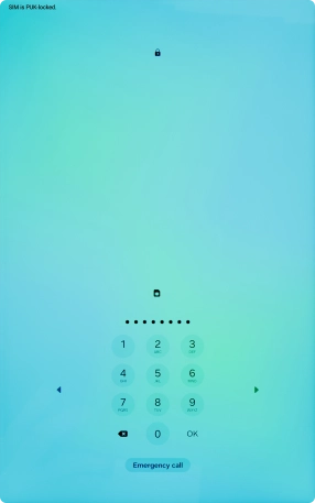 Key in the PUK and press OK.
