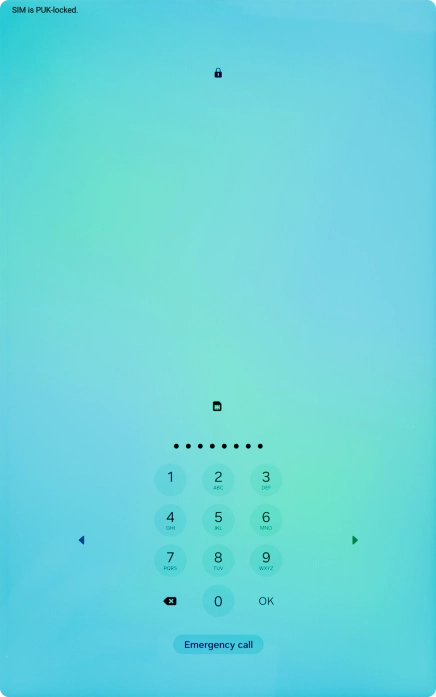 Key in the PUK and press OK.