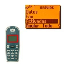 Elija Activadas y pulse OK.Después de unos instantes puede ver los tipos de llamadas que se desviarán llegado el caso.