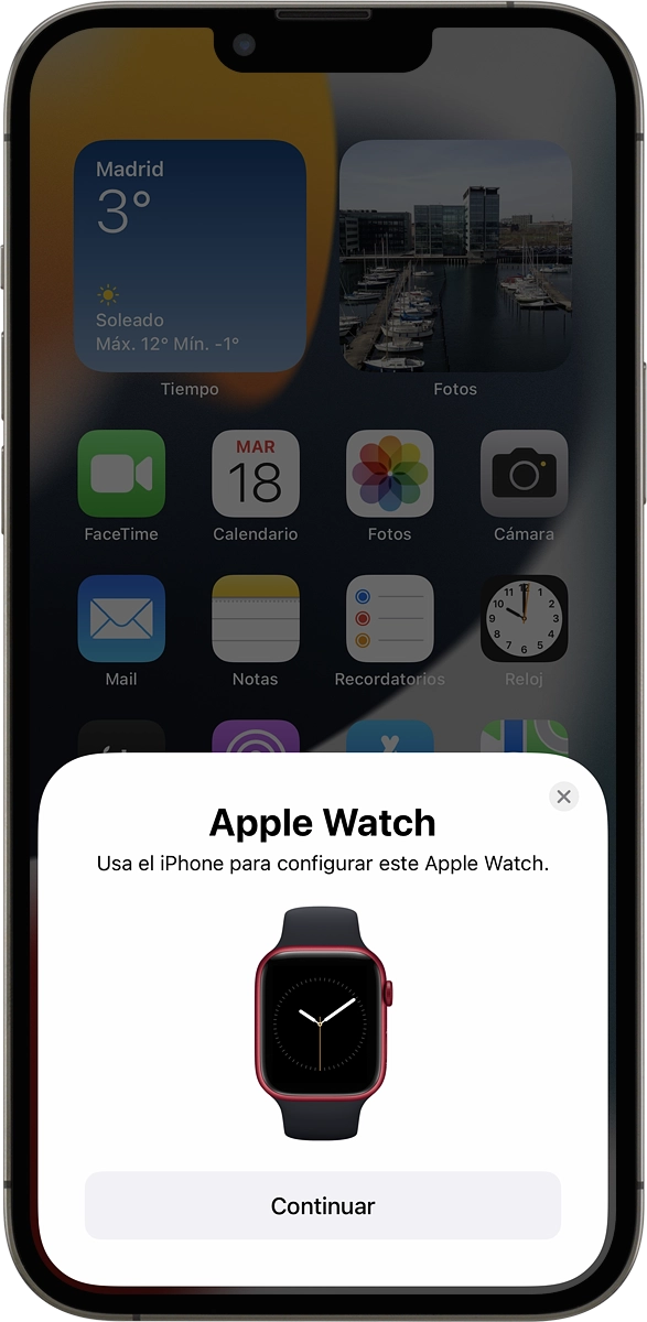 En el móvil: Pulsar Continuar y seguir las indicaciones del móvil para colocar la esfera del reloj en el centro del marco de la cámara del móvil.