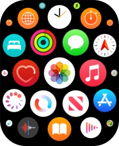 Pulsa el icono de pulsómetro.