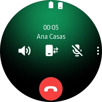 Pulsa el icono de finalizar llamada.