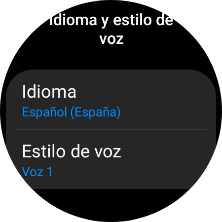 Pulsa Idioma.