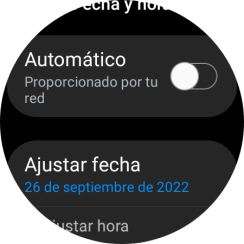 Pulsa Ajustar fecha.