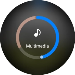 Desliza el dedo por el círculo para seleccionar el volumen deseado.
