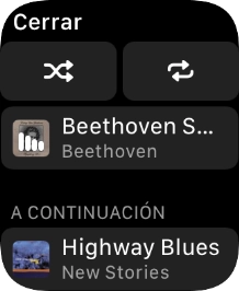 Pulsa el icono de reproducción aleatoria para activar o desactivar la función.